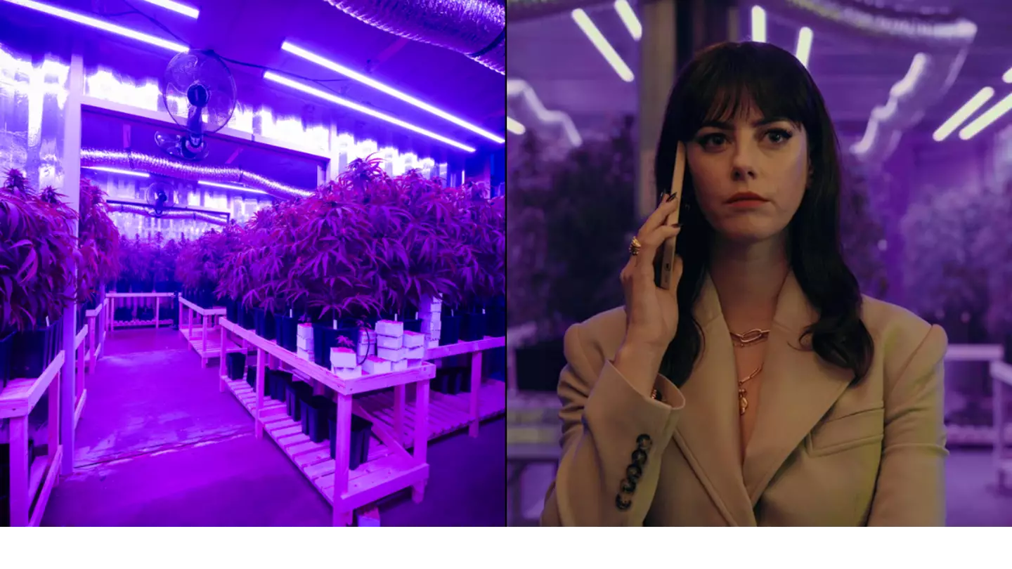 The Gentlemen production designer reveals how they got so many weed plants together for underground farm
