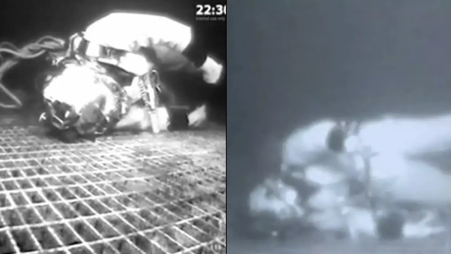 Diver cheats death after surviving 35 minutes at bottom of ocean with six minutes of air in harrowing footage