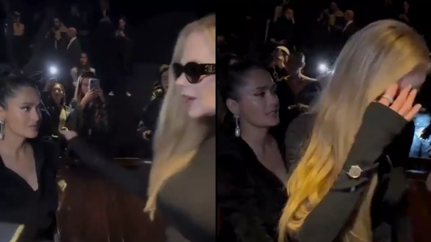 (TikTok/serials.news)