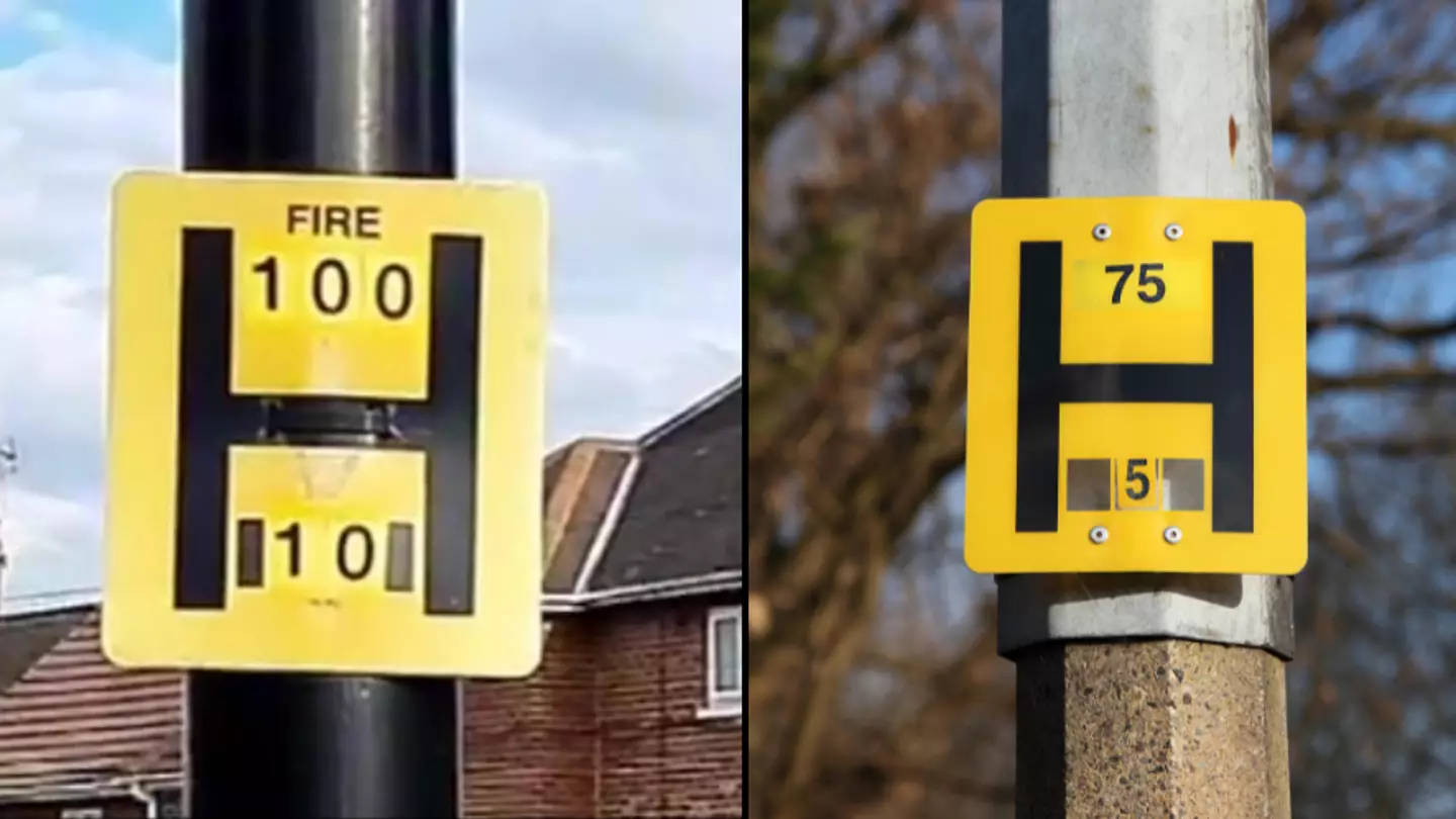 People have only just found out what the H on lampposts means