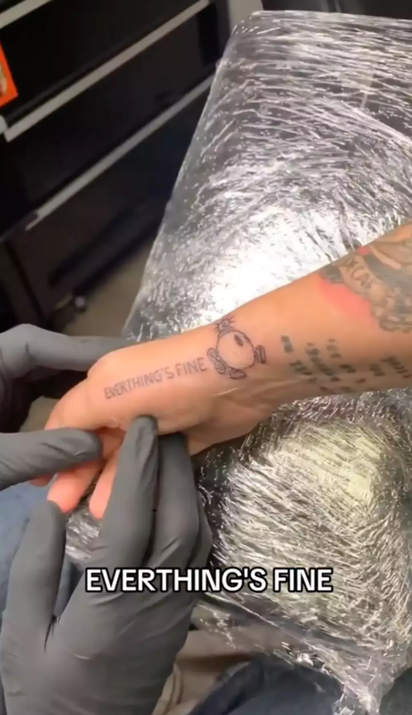 EVERTHINGS FINE (TikTok/theearthylama)