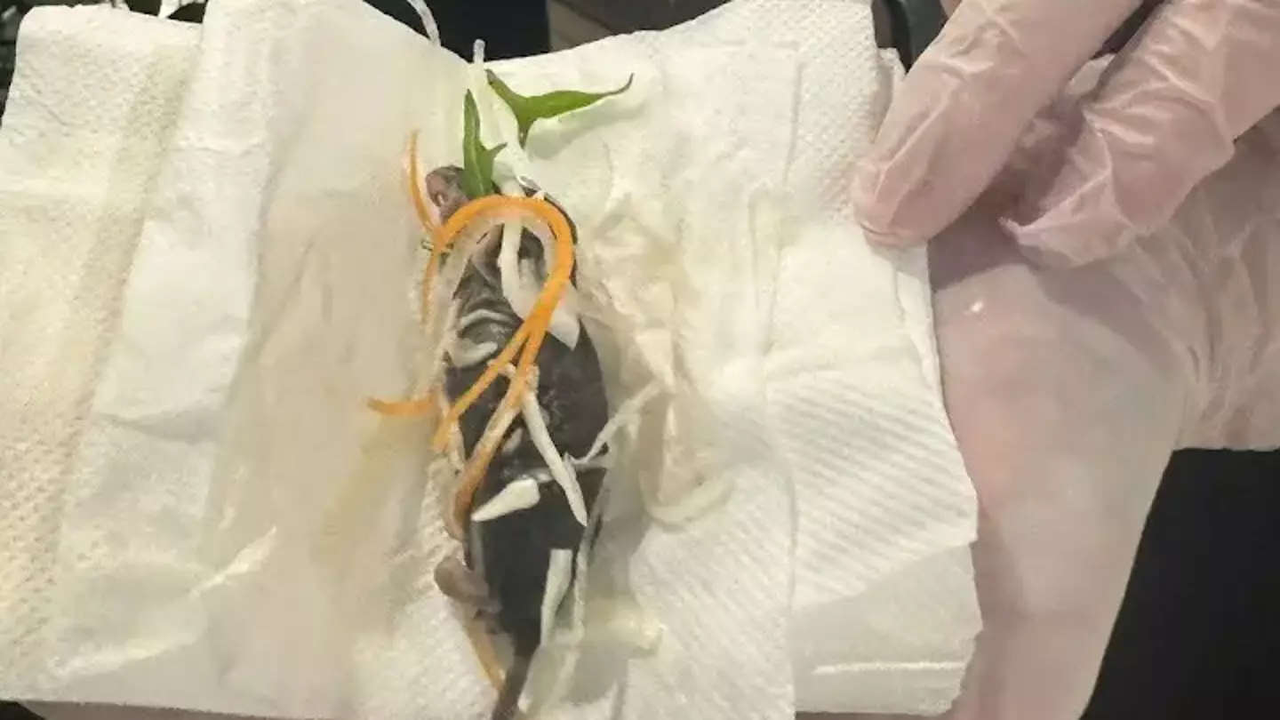 Restaurant forced to apologise after customer was served 'dead rat' in her meal