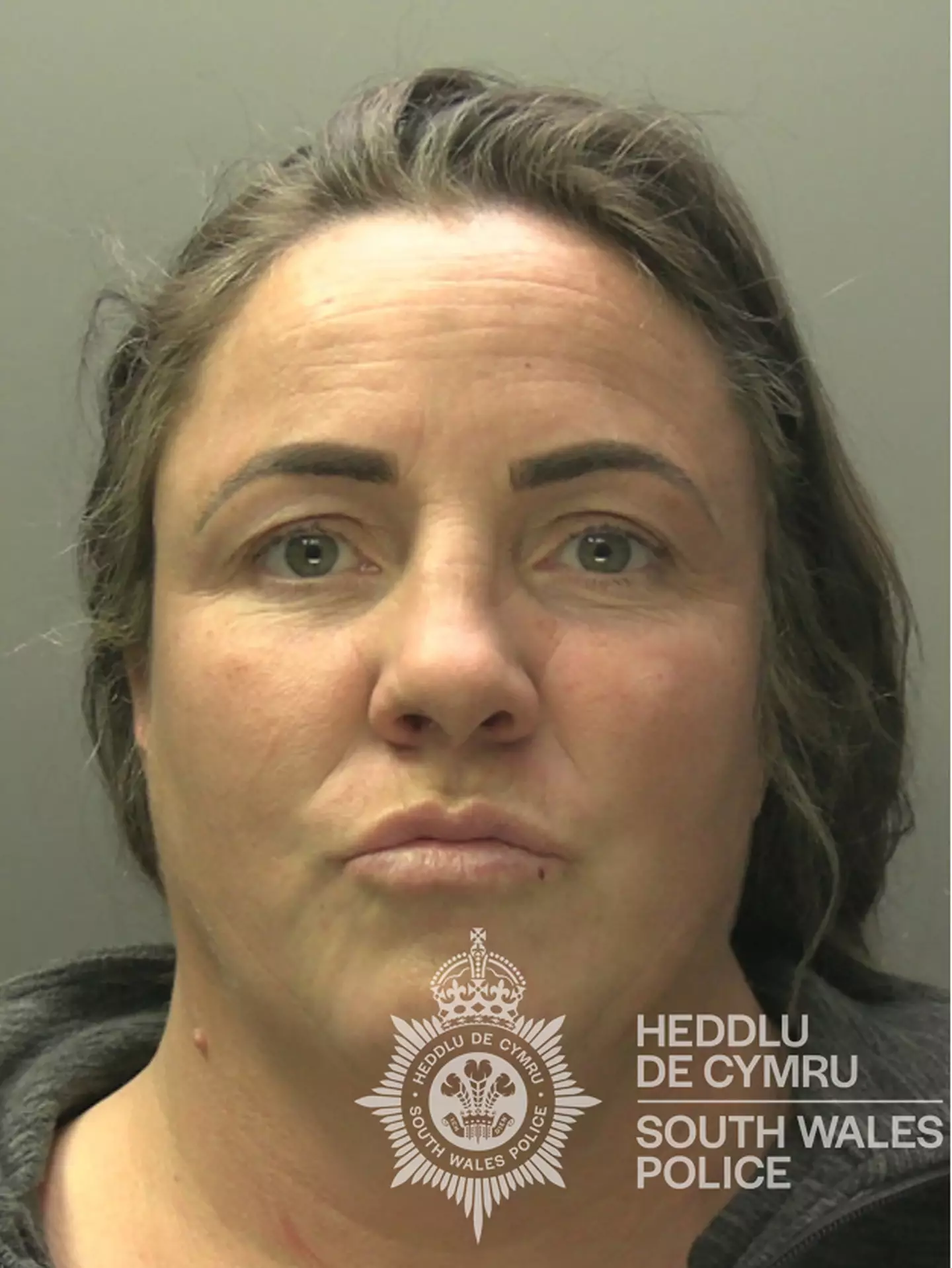 Ann McDonagh, 39, also admitted four counts of shoplifting. (PA)