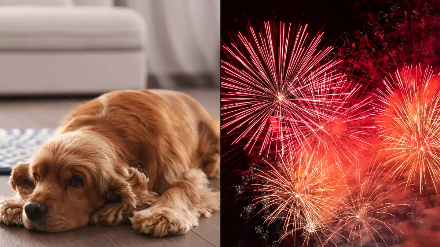 Getty Stock Images