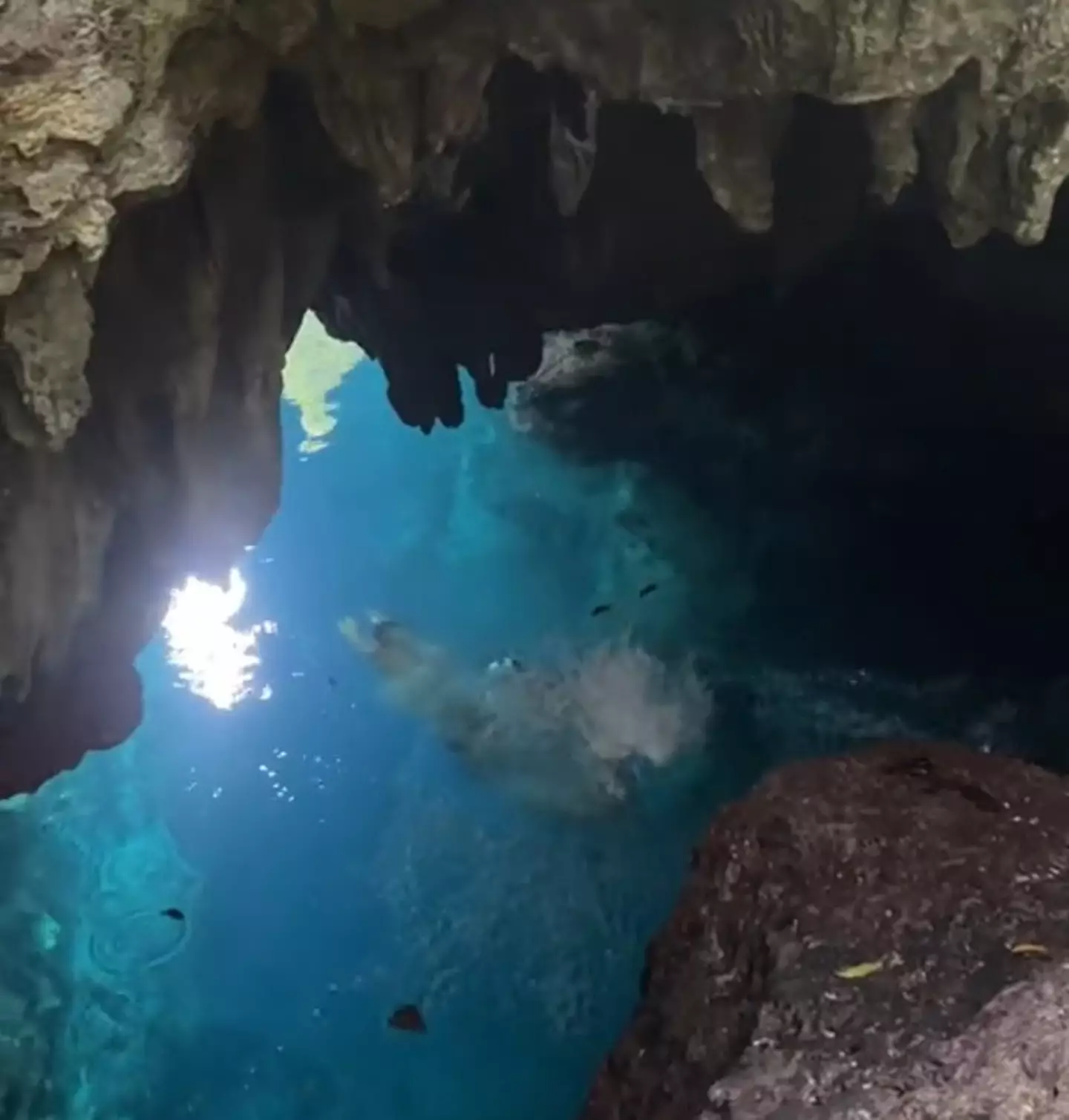 Look at that cave pool, where else in the world are you going to find that?