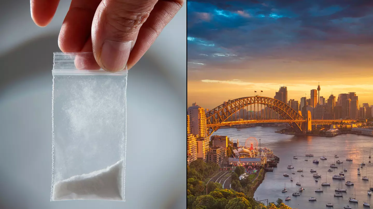 Australia officially has the highest per capita cocaine user in the world