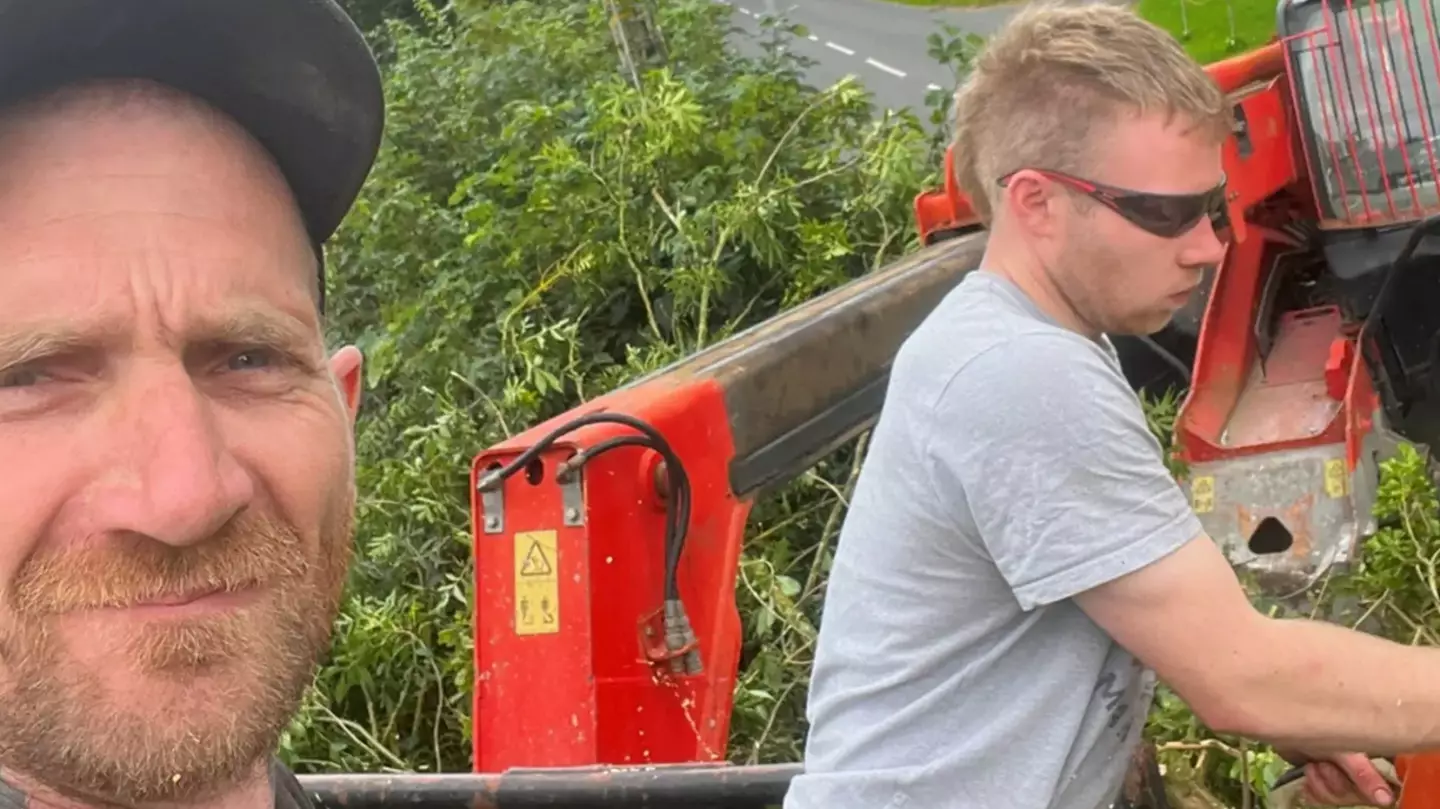 Damning evidence that led to the arrest of men who chopped down Sycamore Gap tree as they're sentenced to four years in prison