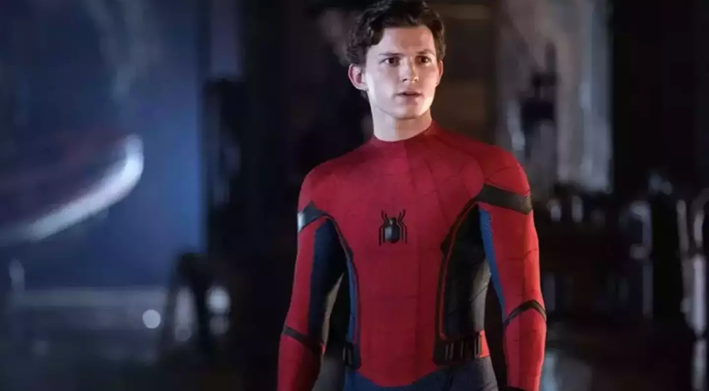 Fans believe Holland and Pascal's Spider-Man link could be a way in for the actor (Sony)