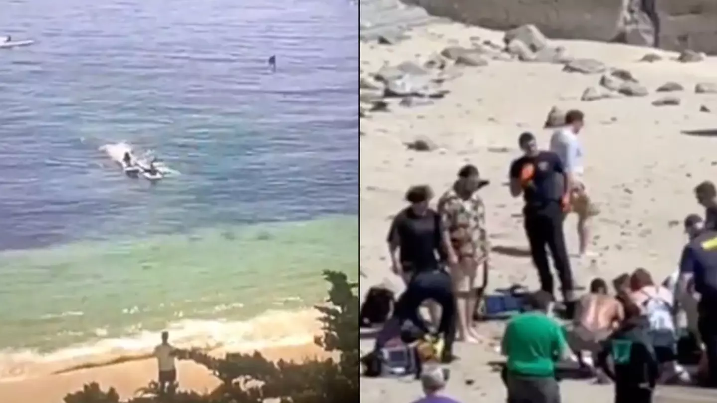 Swimmer Survives Brutal Attack From 'One Of The Biggest Great White Sharks Ever Recorded'