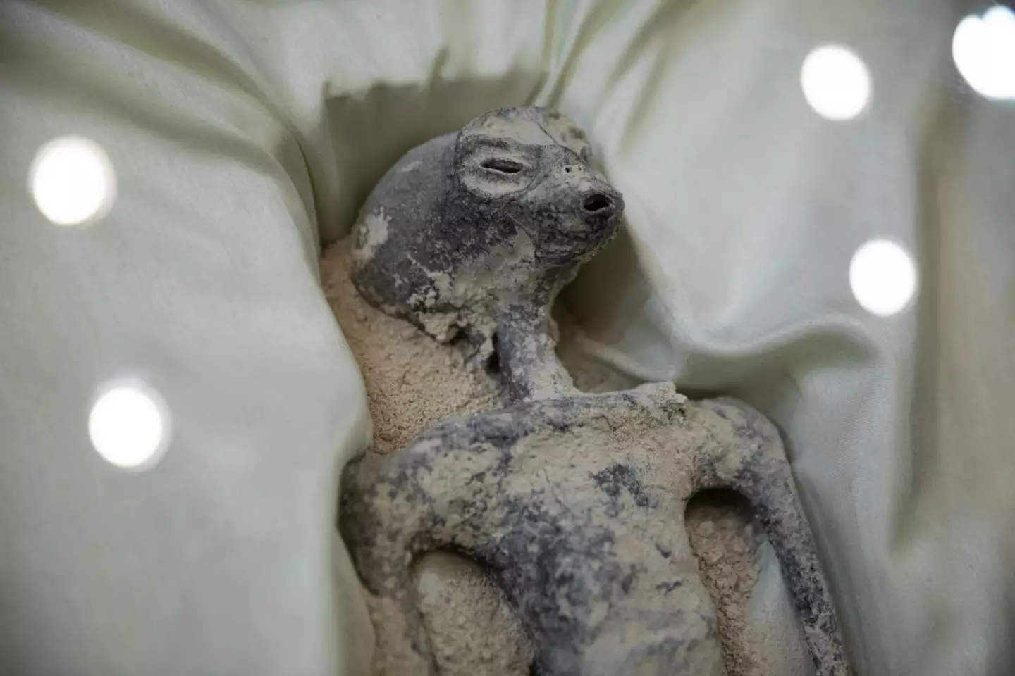 Tests done on 'alien corpses' found in Peru 'prove' they have 30 per cent DNA of 'unknown species.'