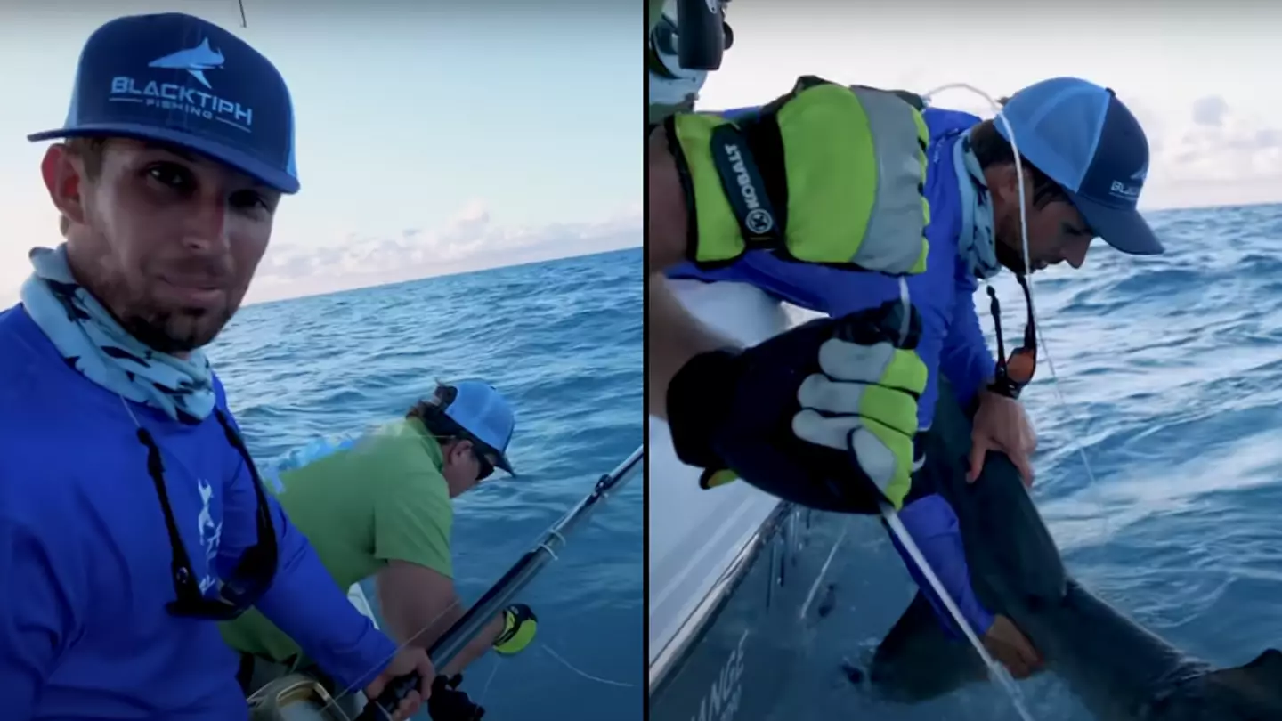 Man films moment he accidentally catches huge 14ft shark while fishing at sea