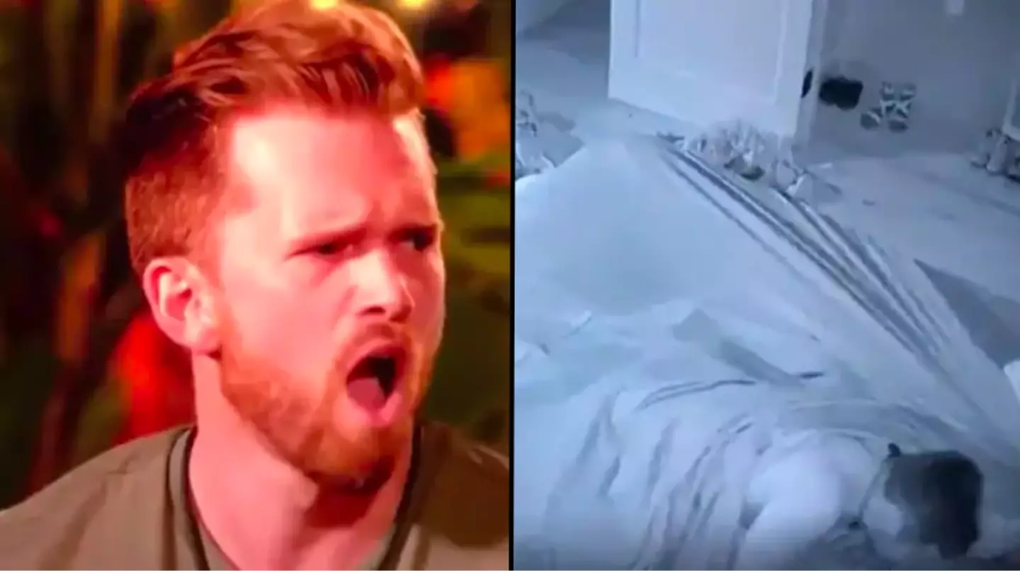 Lad watches his girlfriend cheat on him in bizarre reality TV show