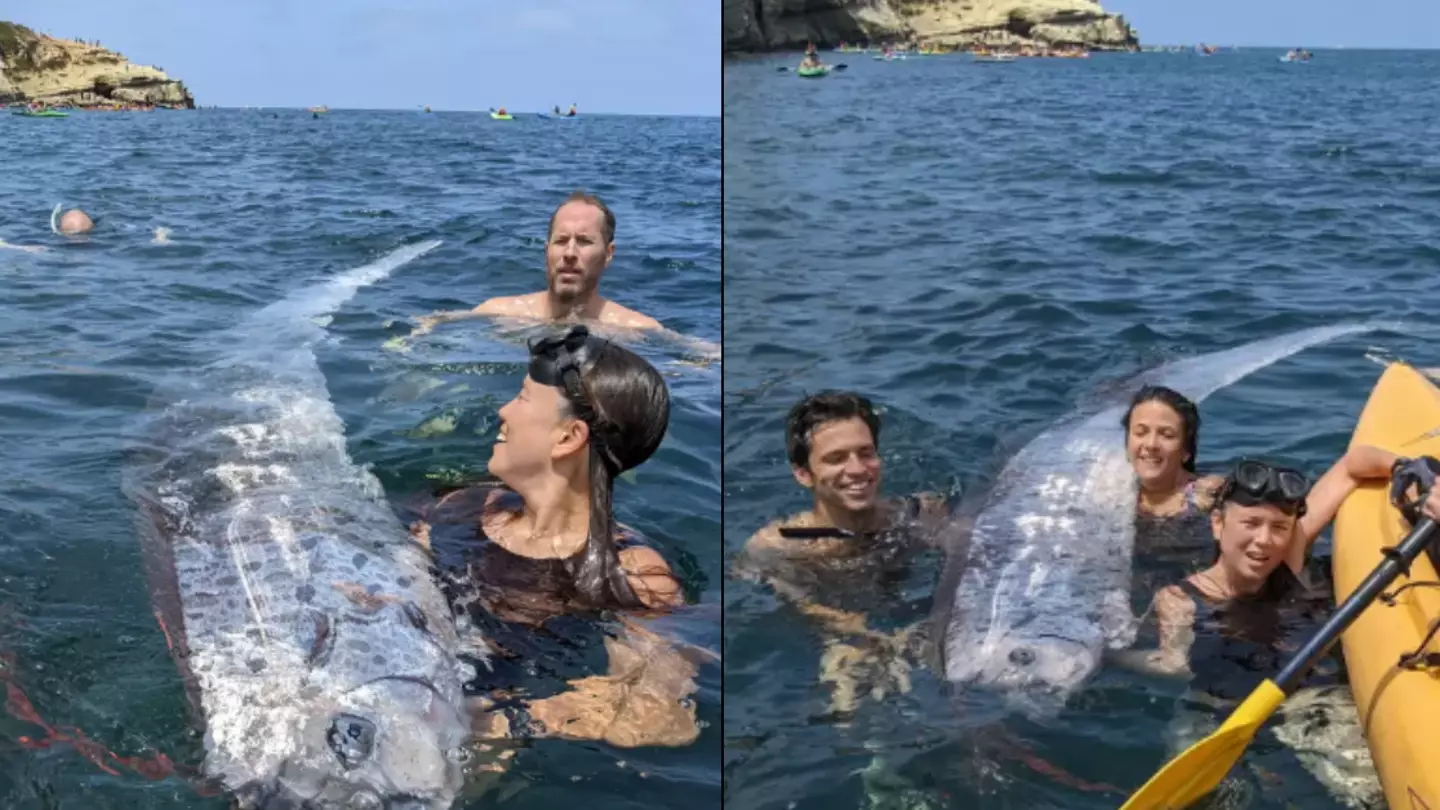 Rare 'Doomsday creature' that's a 'sign of pending disaster' discovered off coast two days before earthquake