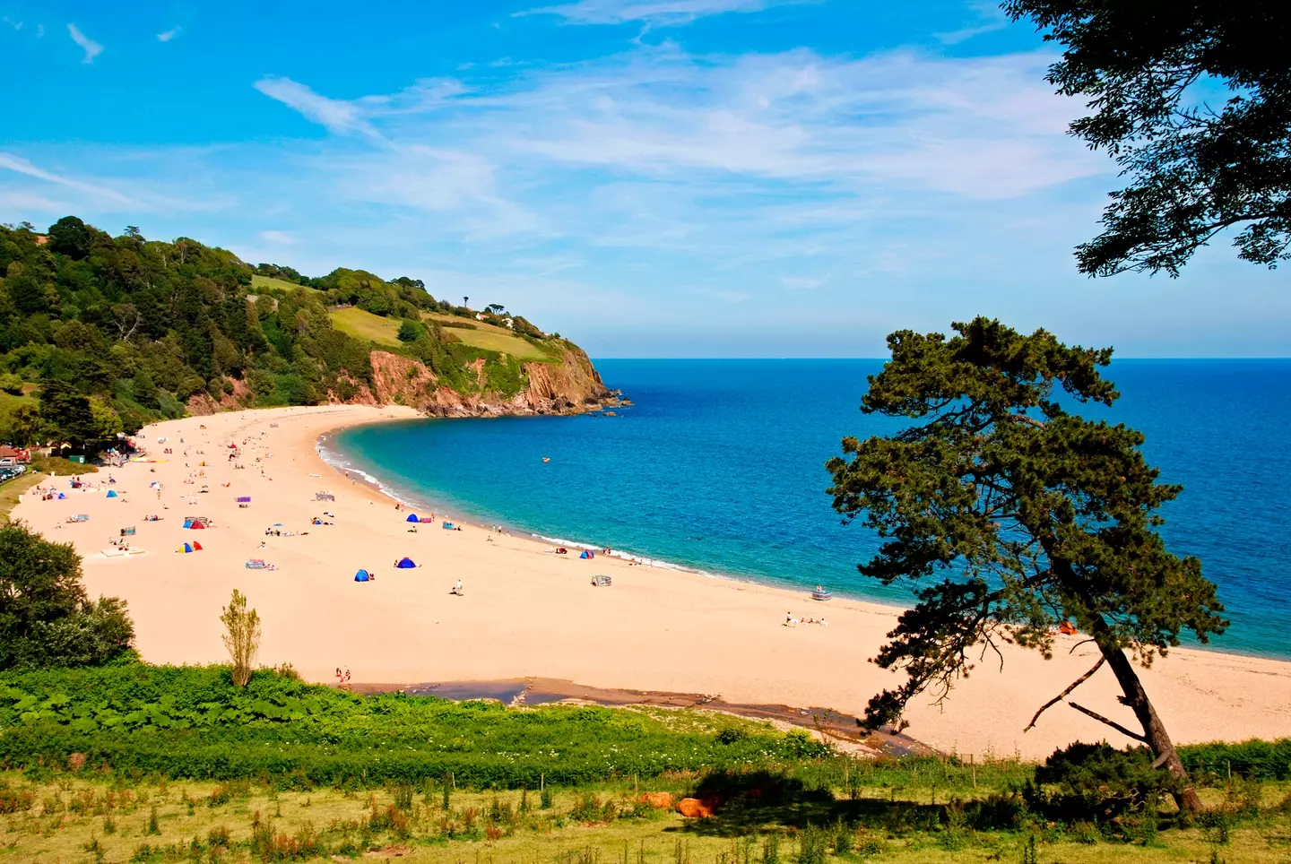 Blackpool Sands in Devon.