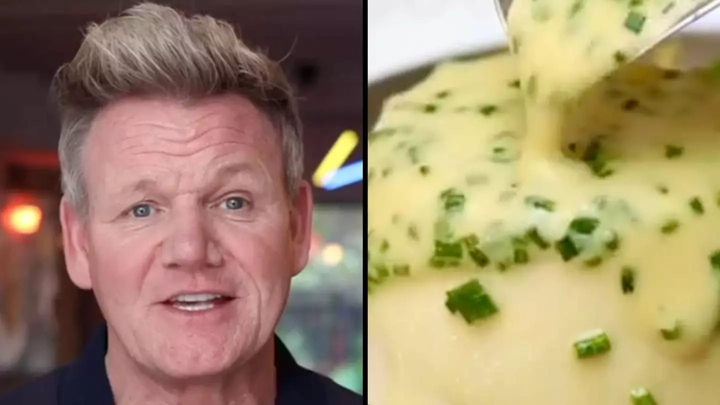 Gordon Ramsay's New £18 Dish Mocked As 'Dog Food'