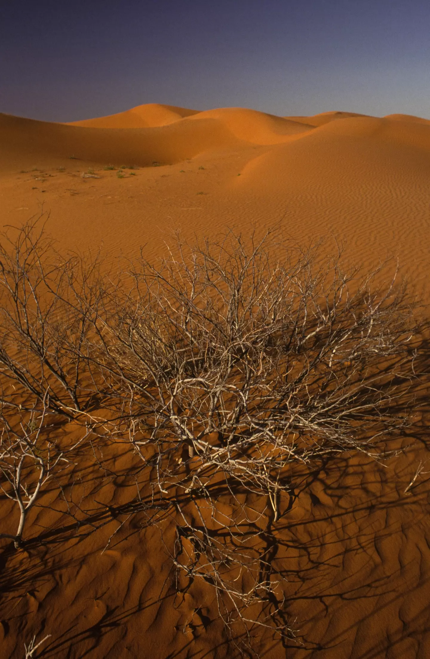 He was stranded in the Tanami desert. (Alain BUU/Gamma-Rapho via Getty Images)