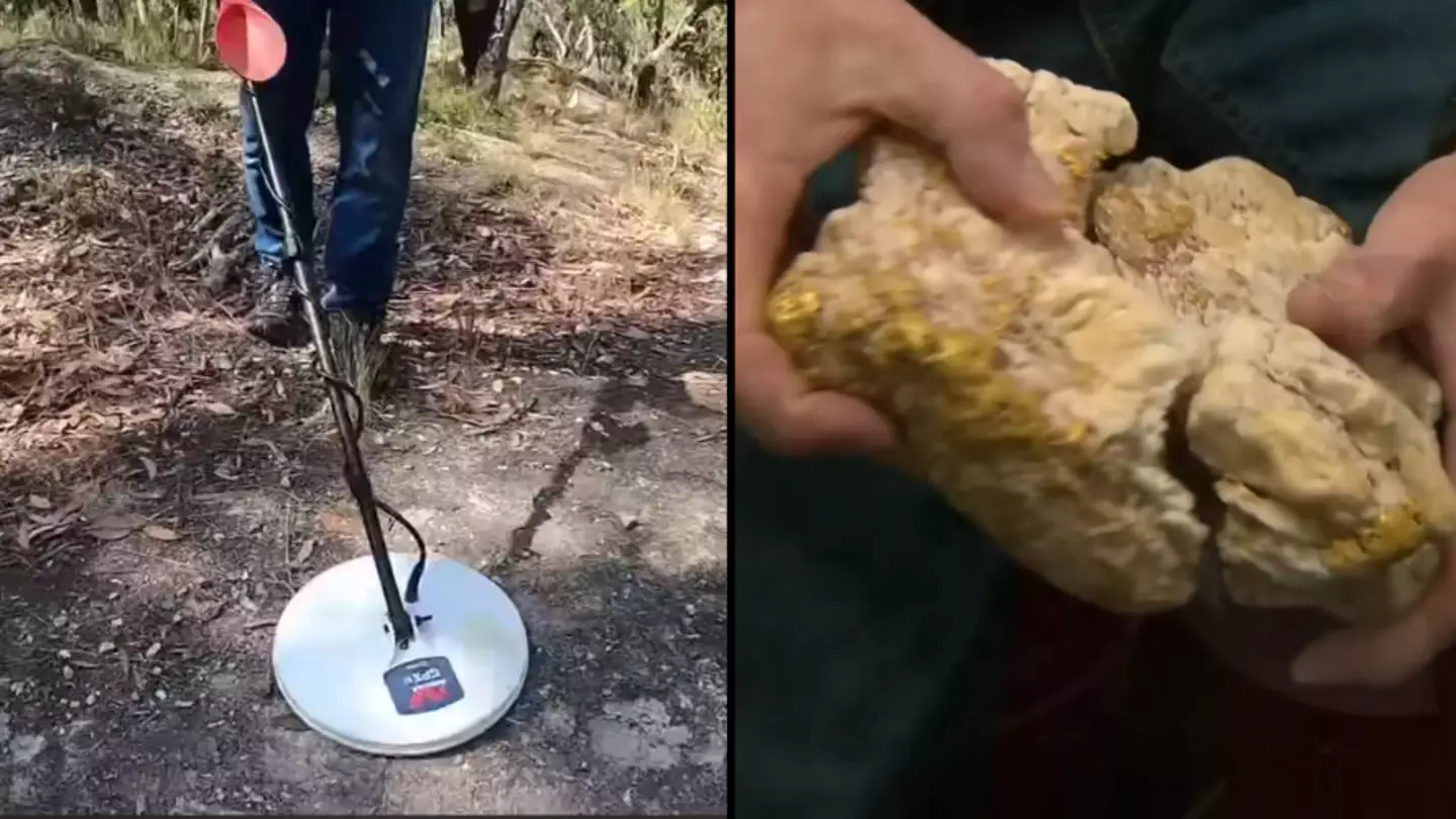 Amateur metal detectorist shocked after finding massive $240,000 nugget of gold