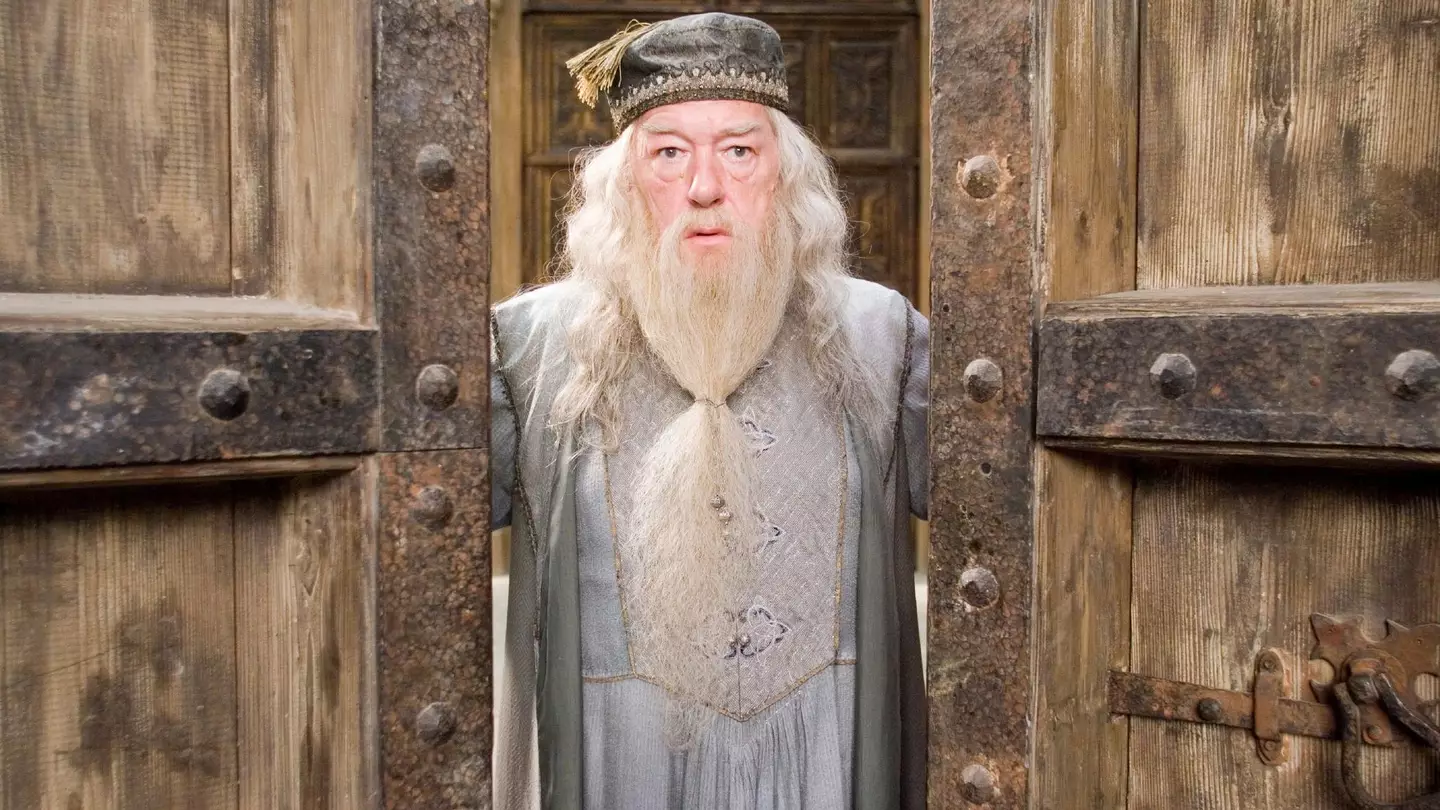 Gambon played Albus Dumbledore in the Harry Potter films from 2004 to 2011.