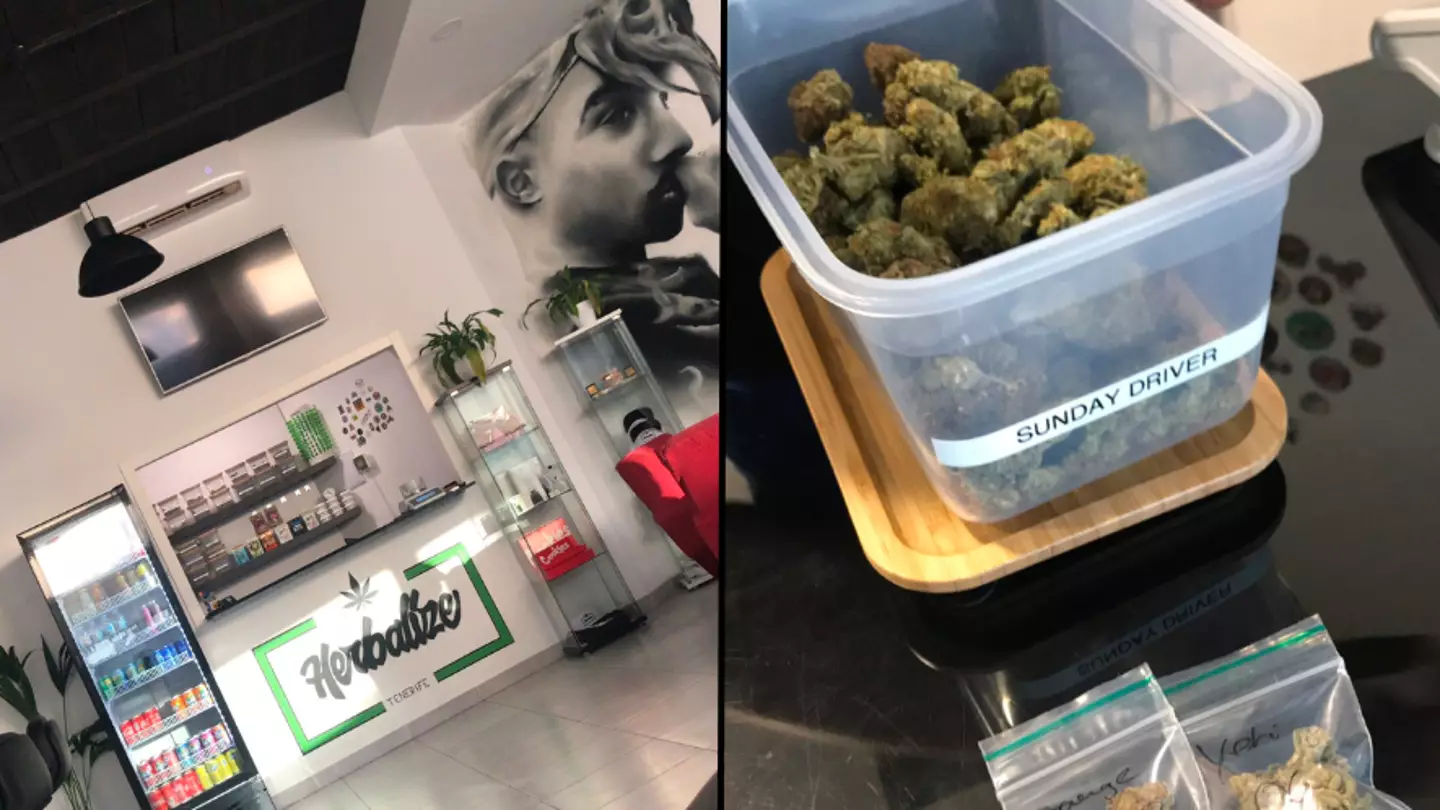 British tourists are flocking to Amsterdam-style coffee shops in Tenerife