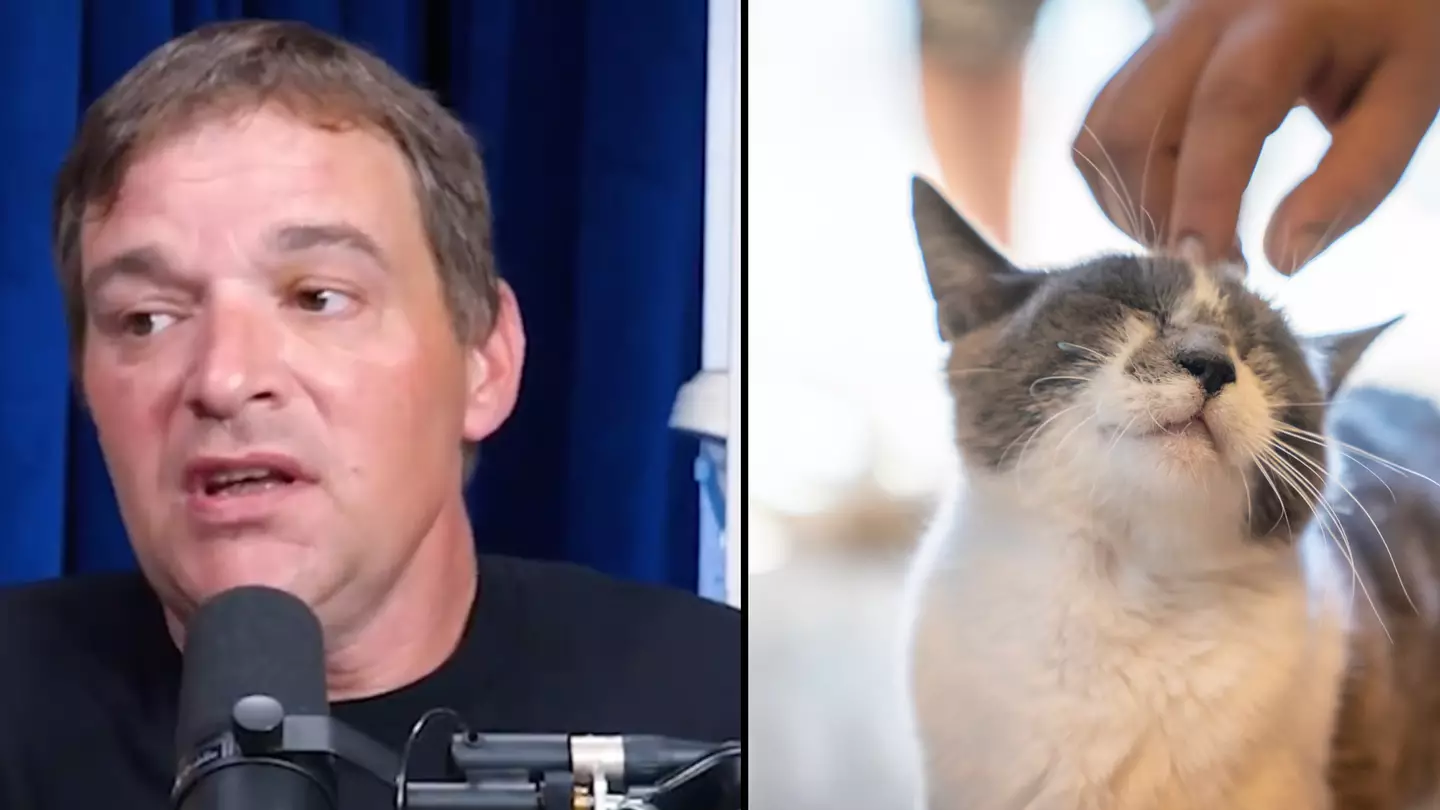 Cat owners horrified by coroner’s warning about what may happen if you die at home