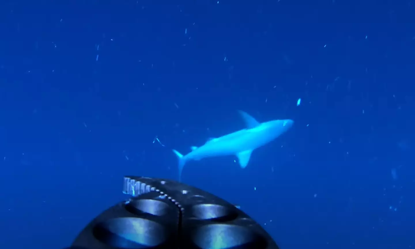 The controllers seem a little worried. (YouTube/Will Mitchell)