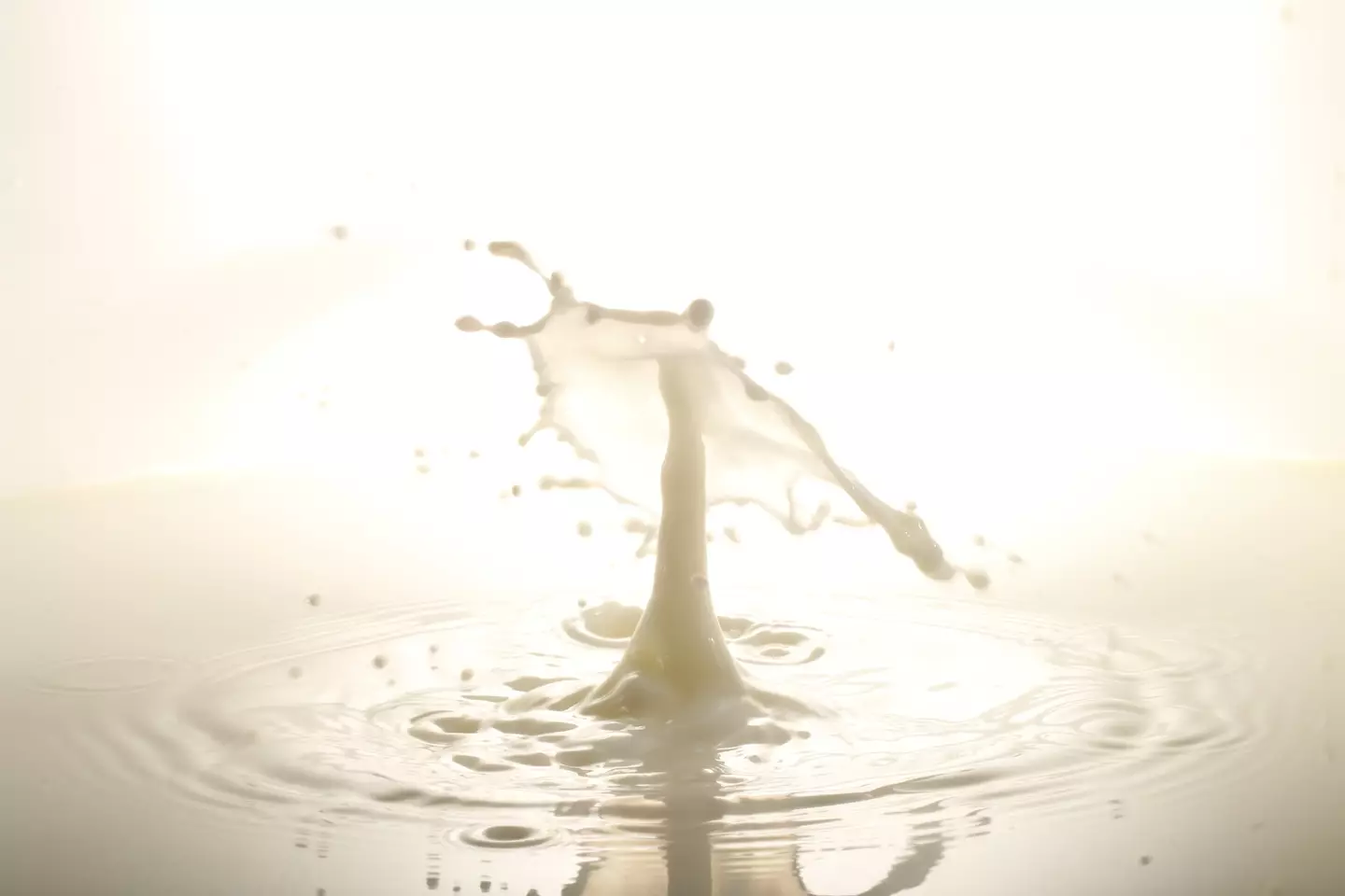 Tucked away in a corner of the internet, is a group of men looking to increase their ejaculation load (Getty Stock Images)