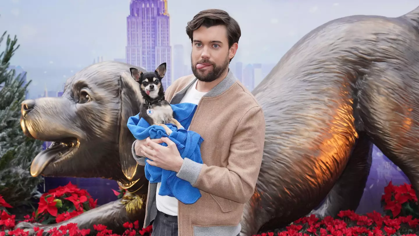 Jack Whitehall Thinks Past Jokes Could Get Him Cancelled