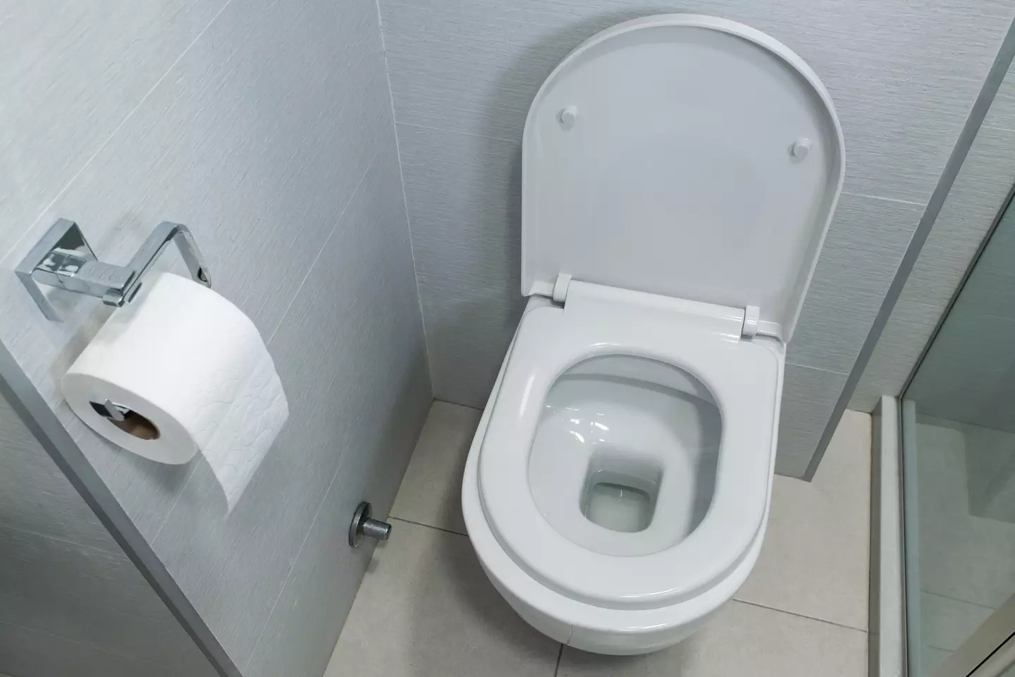 The gross reason behind why you should put the toilet seat down before flushing has been revealed.