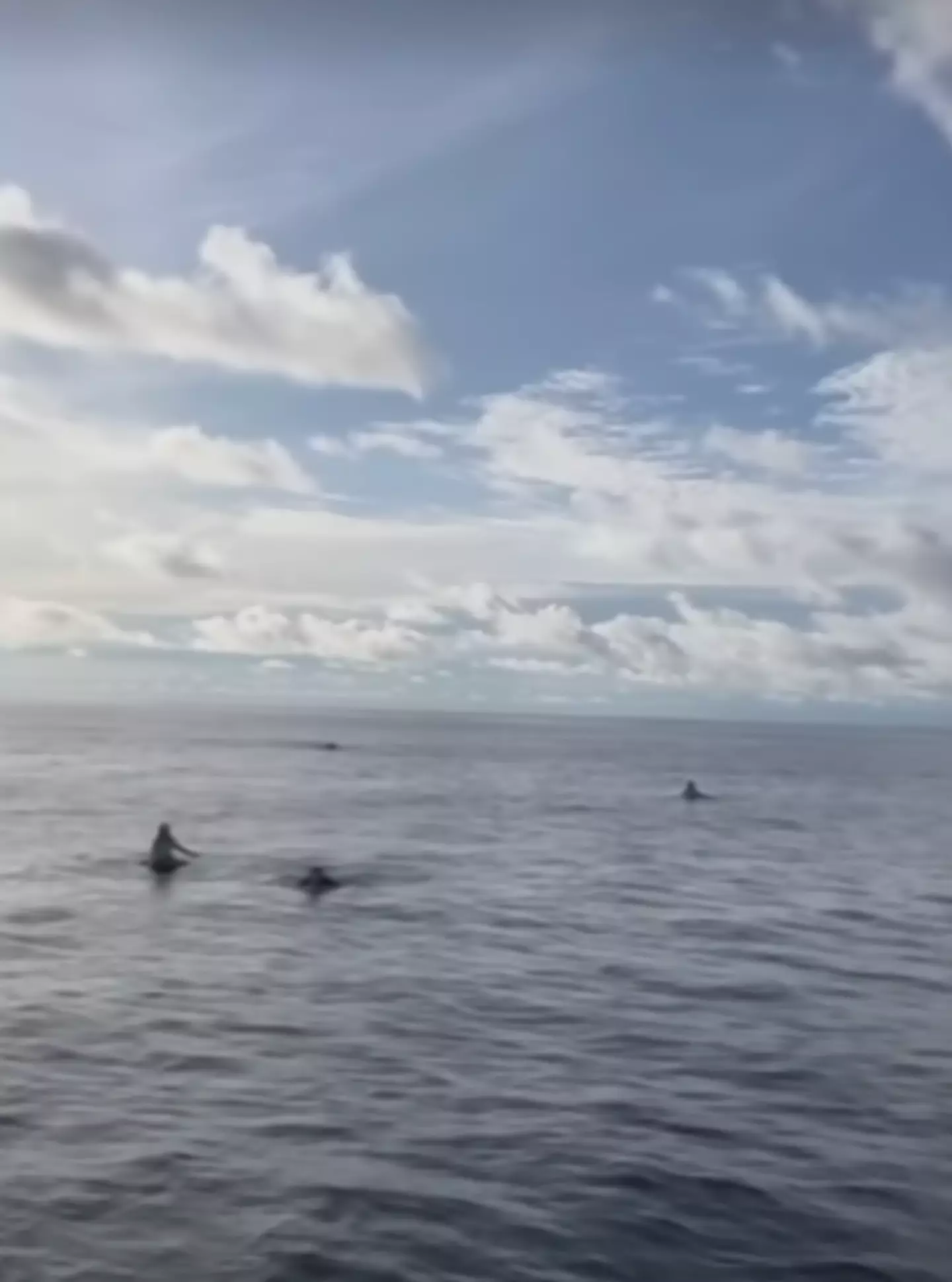 The moment three of the surfers were rescued.