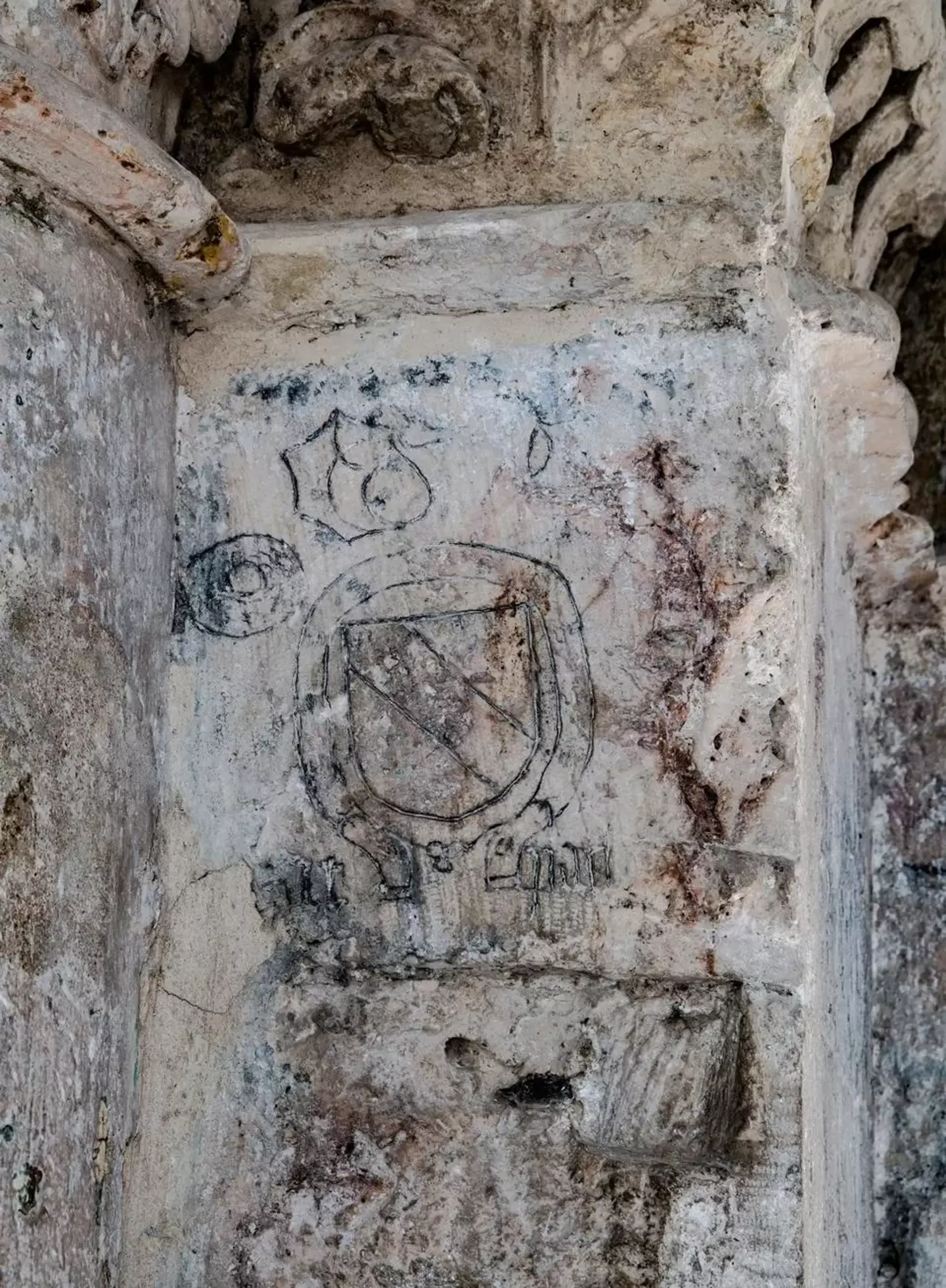 One of the coat of arms carved in to the wall (Shai Halevi / © Israel Antiquities Authority)