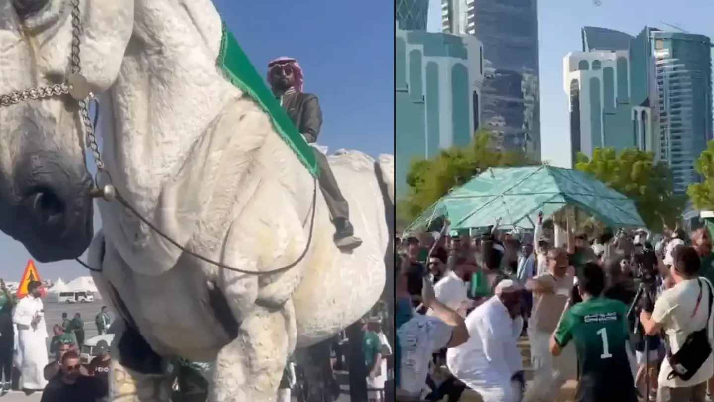 Saudi fans are going absolutely wild after turning up on trojan horse and beating Argentina