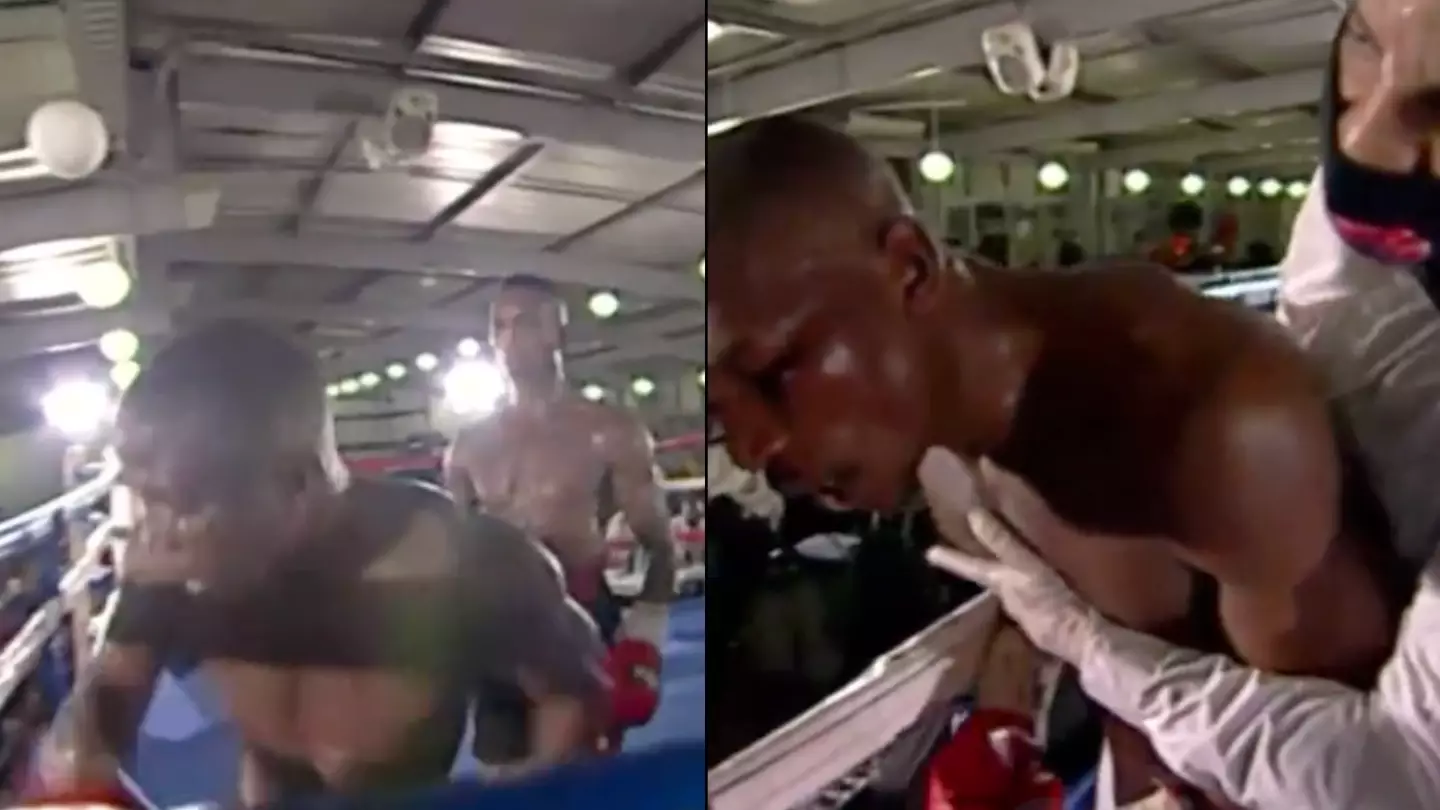 Confused Boxer Starts Fighting Thin Air In Extremely Scary Situation