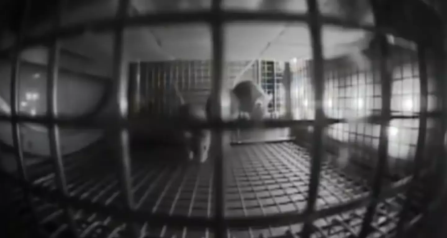 There's no clear formula when it comes to bone mass increasing/decreasing in space (YouTube/NASA)