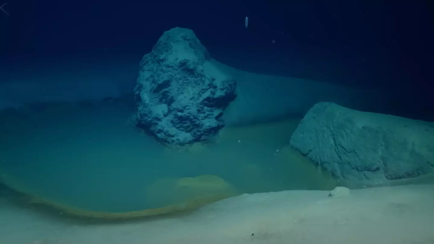 Scientists made chillingly bleak discovery after finally reaching bottom of Red Sea