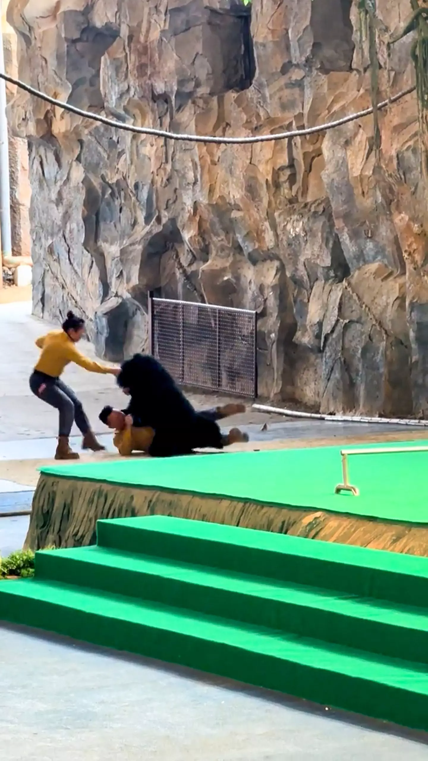 The clip sparked allegations of animal abuse (NEWSX)