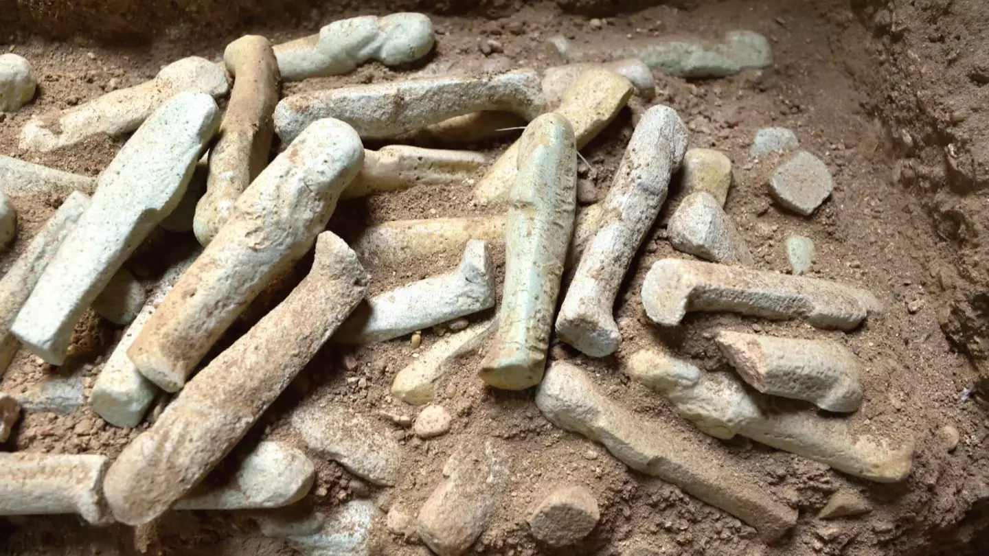 Ancient Egyptian archaeologists discover secret 'House of Life' at pharaoh's burial ground and reveal what's inside