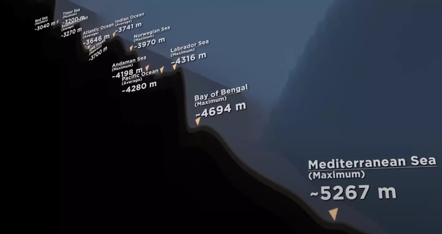 Viewers were shocked by the simulation (YouTube/MetaBallStudios)