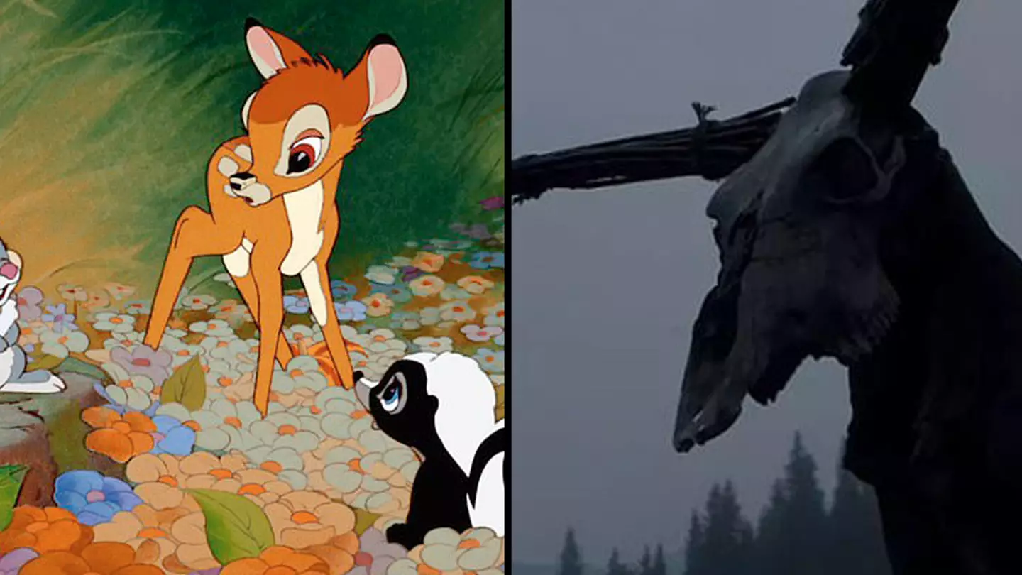 Disney / Netflix