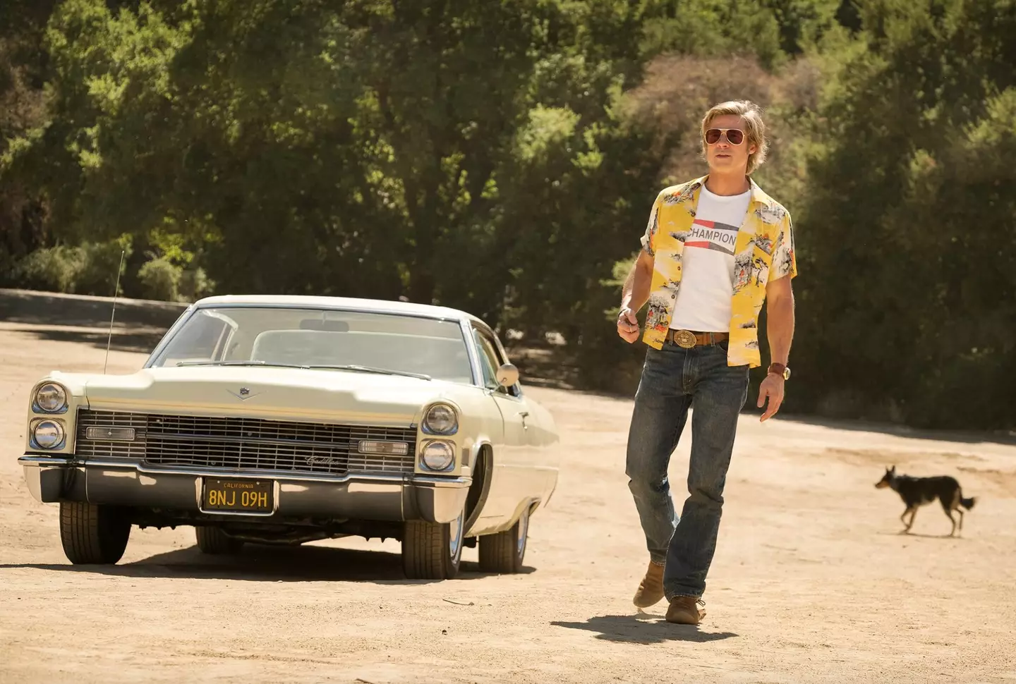 Brad Pitt in Once Upon a Time ... in Hollywood (Sony)