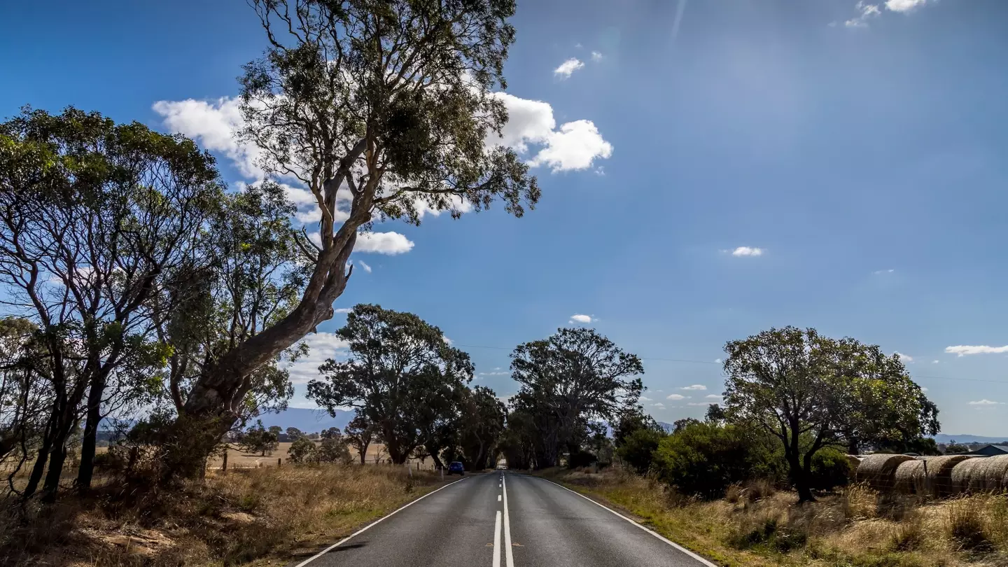 Five underrated NSW road trips that should be on your radar