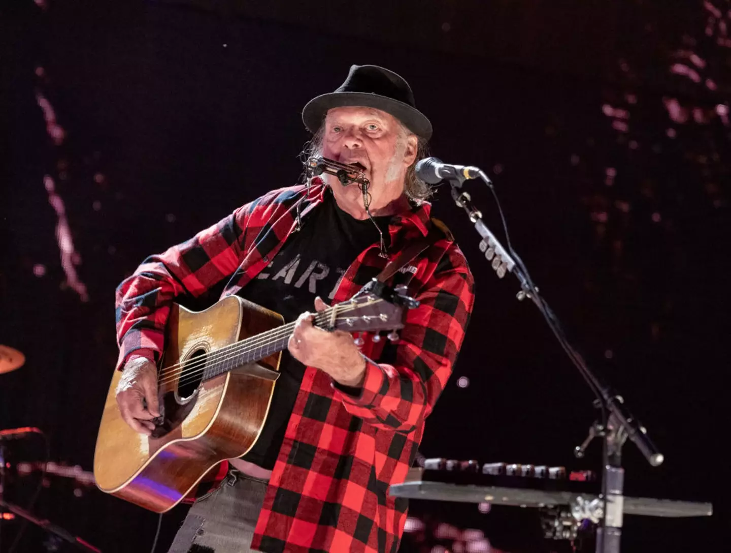 Neil Young will headline Glastonbury (Gary Miller/Getty Images)