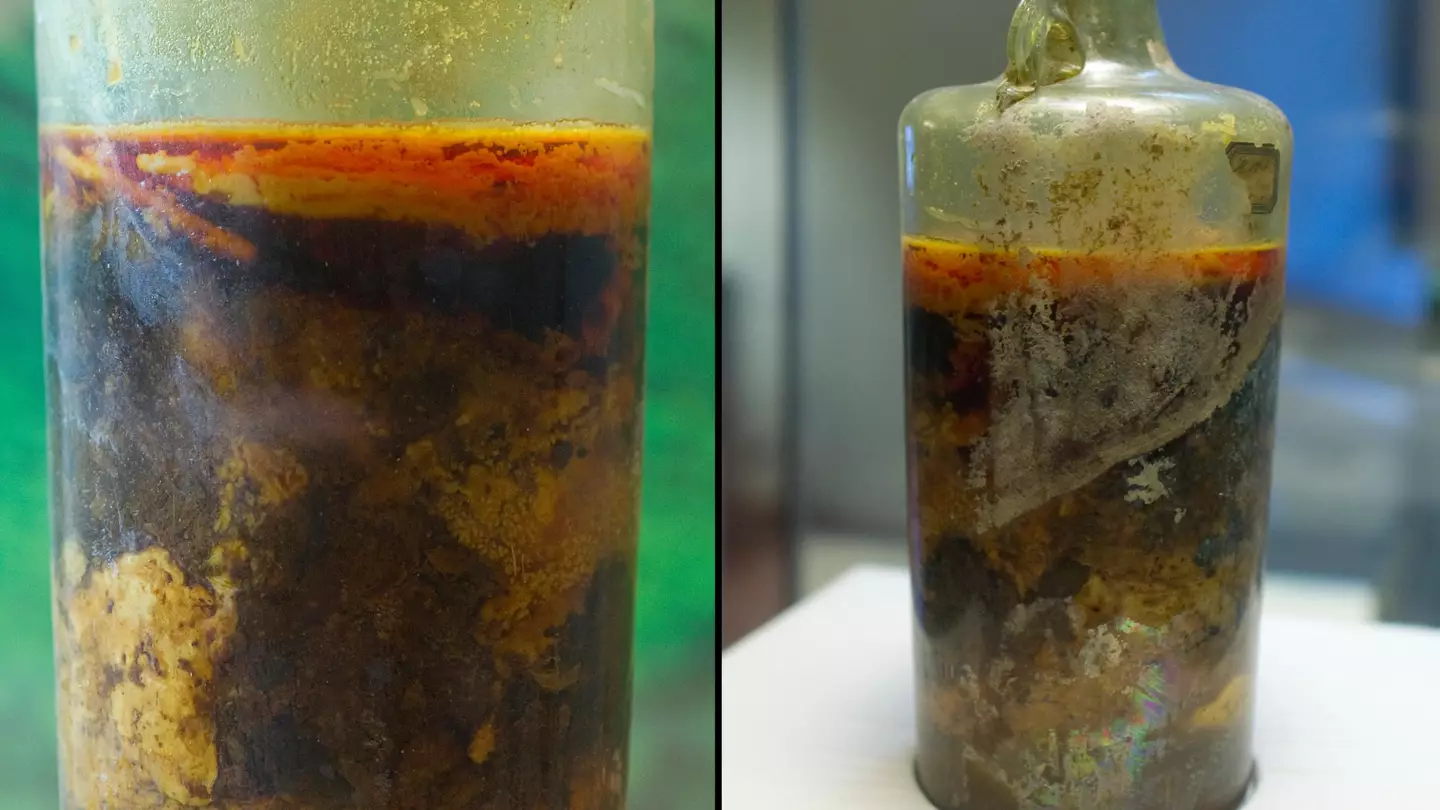 The world's oldest bottle of wine is still probably okay to drink