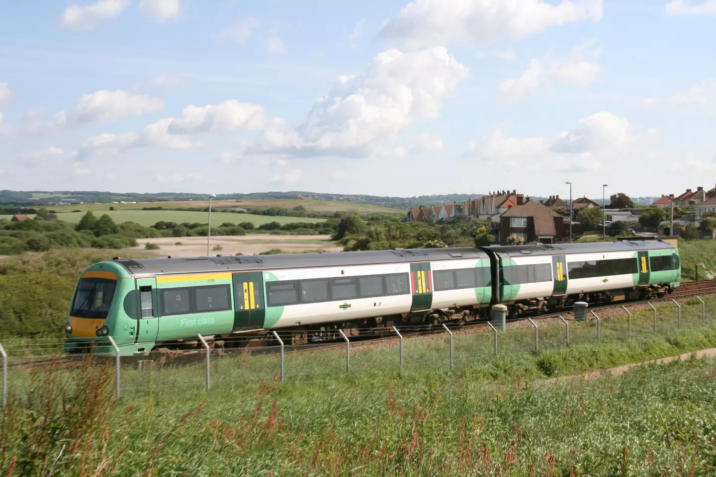 It is believed the snake was either dumped on the Southern Railway train or had somehow gotten itself lost from home.