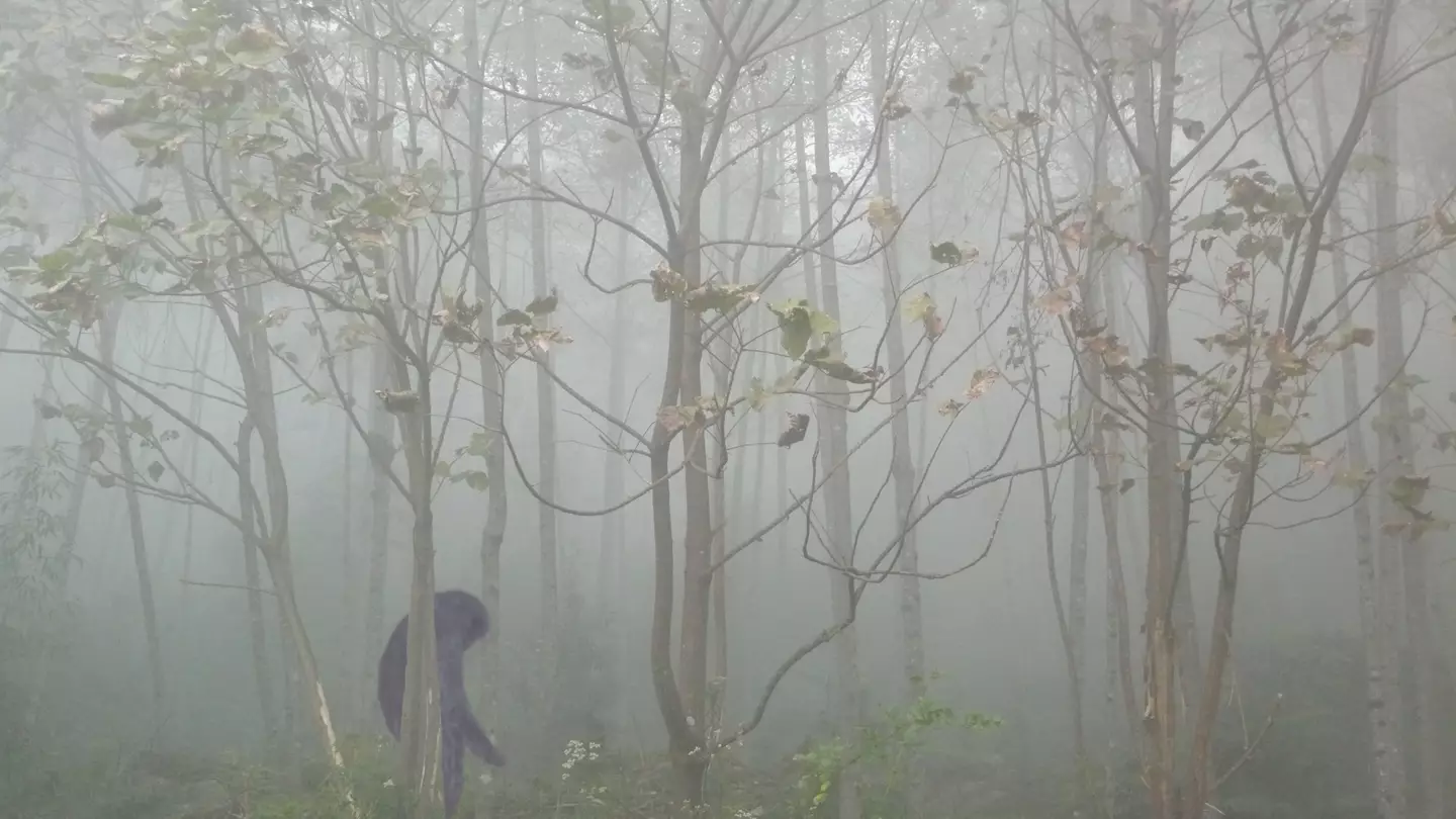 Why are the images never clear? (Istvan Hernadi photography... Mountain Visions / Getty)