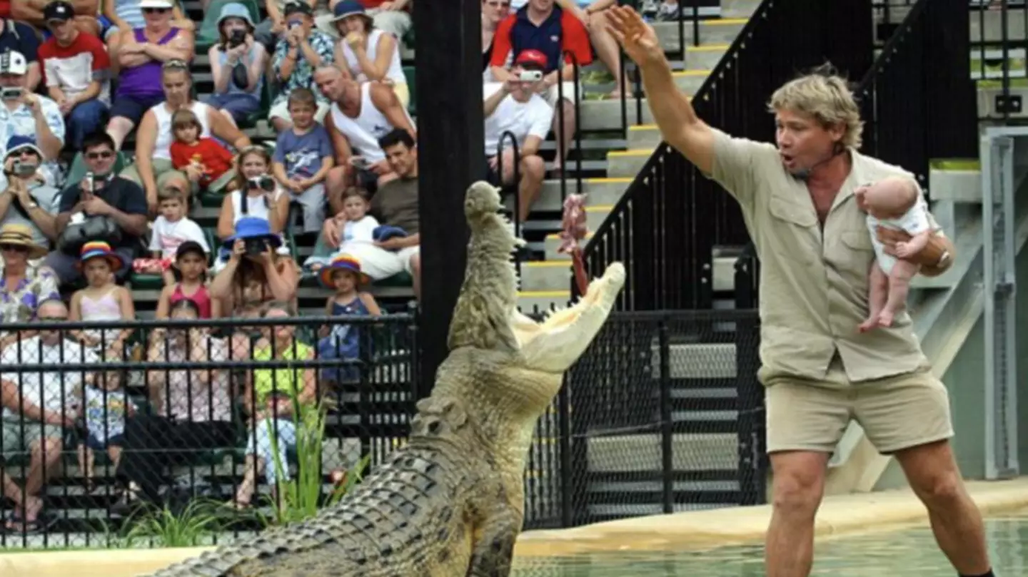 Infamous Photo Of Steve Irwin Saw Him Lose Out On Prestigious Award