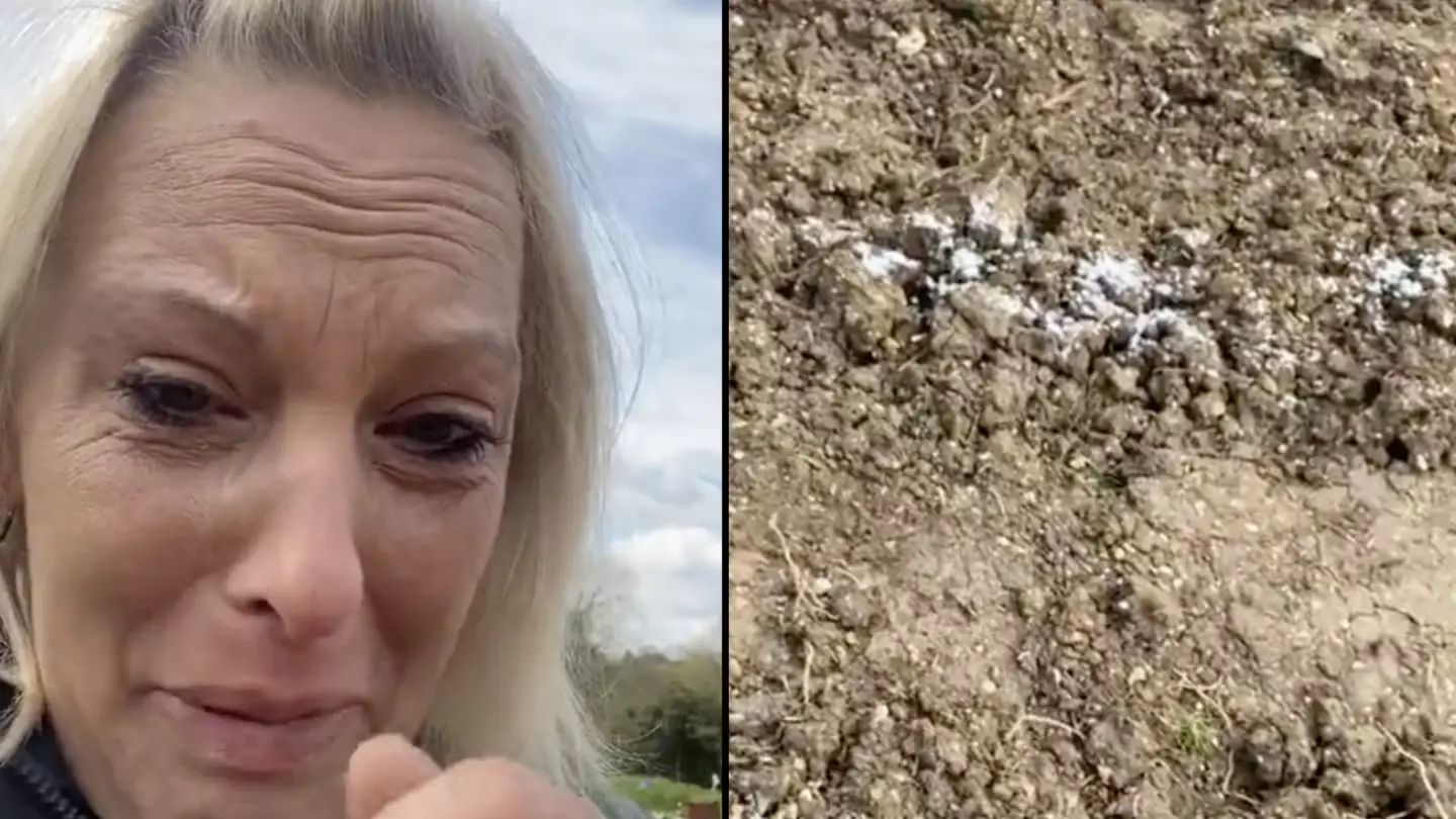 Woman distraught after salt poured over allotment patch she used to feed 1,600 people