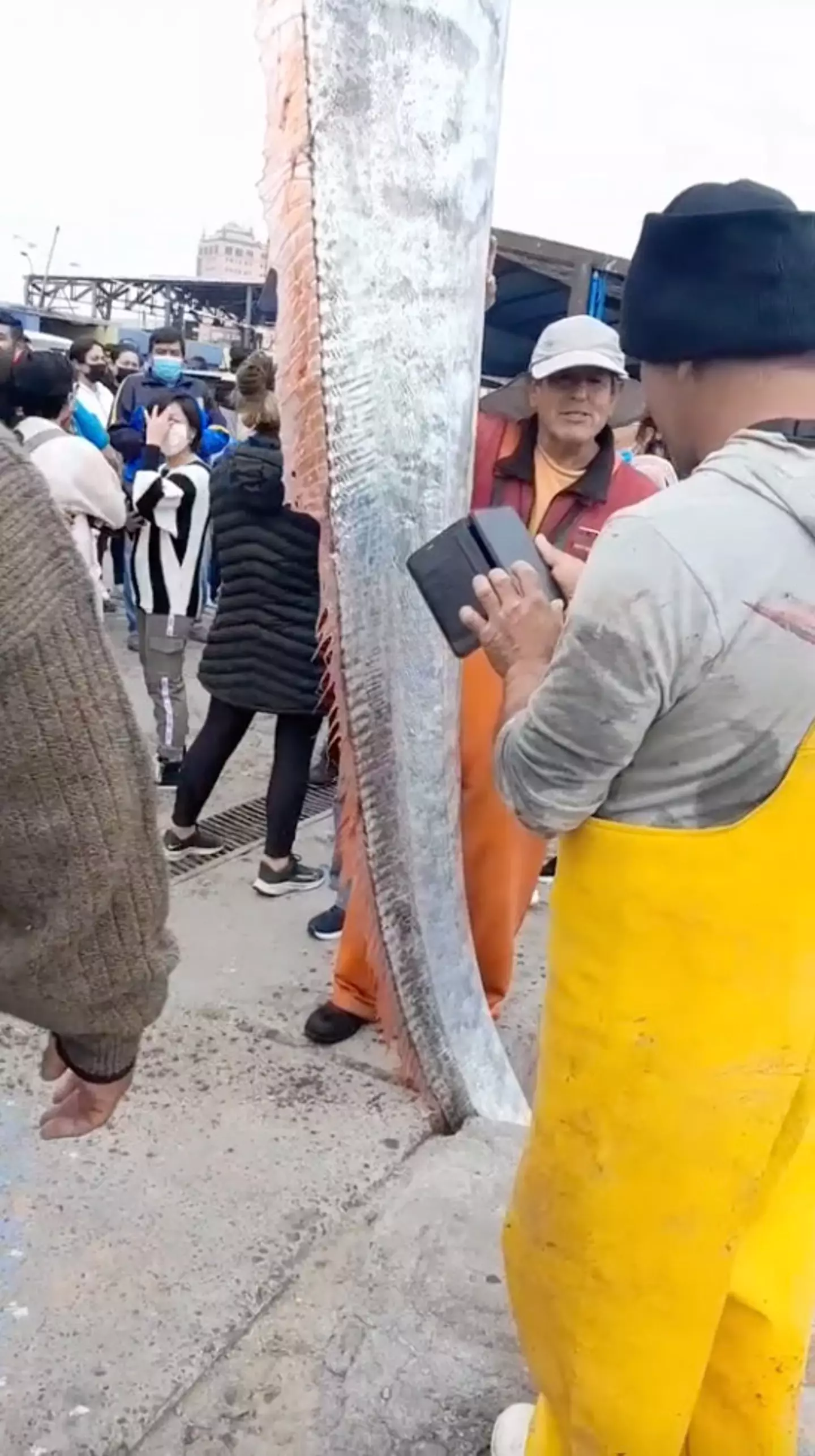Oarfish usually live in the depths of the ocean.