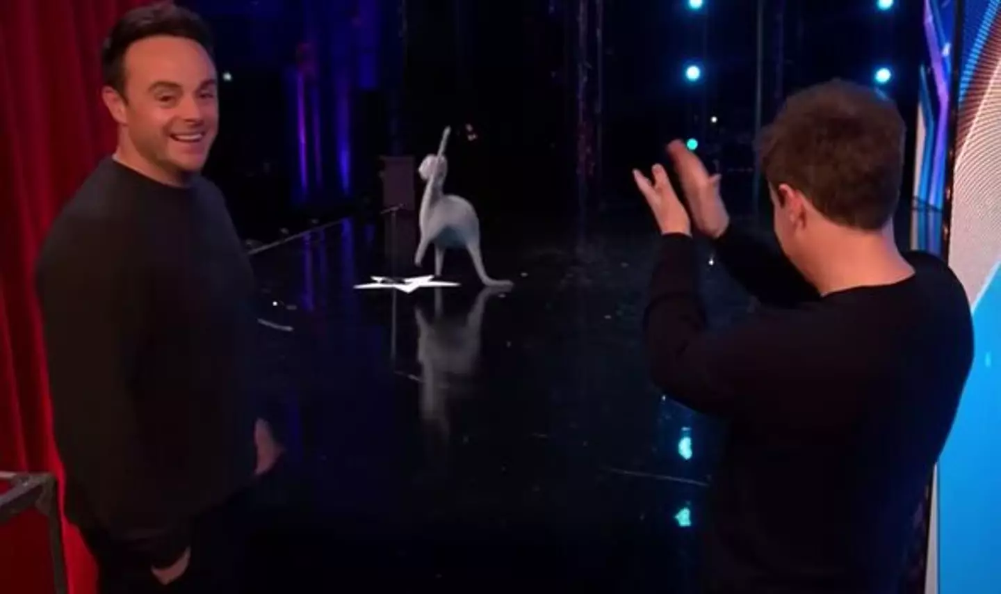 It's not everyday you see a singing CGI cat on Britains Got Talent.