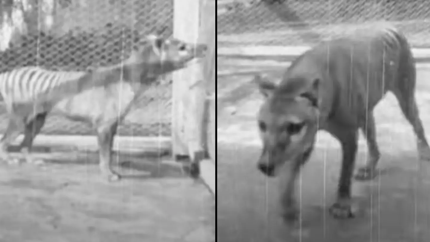 National Sound and Film Archive of Australia