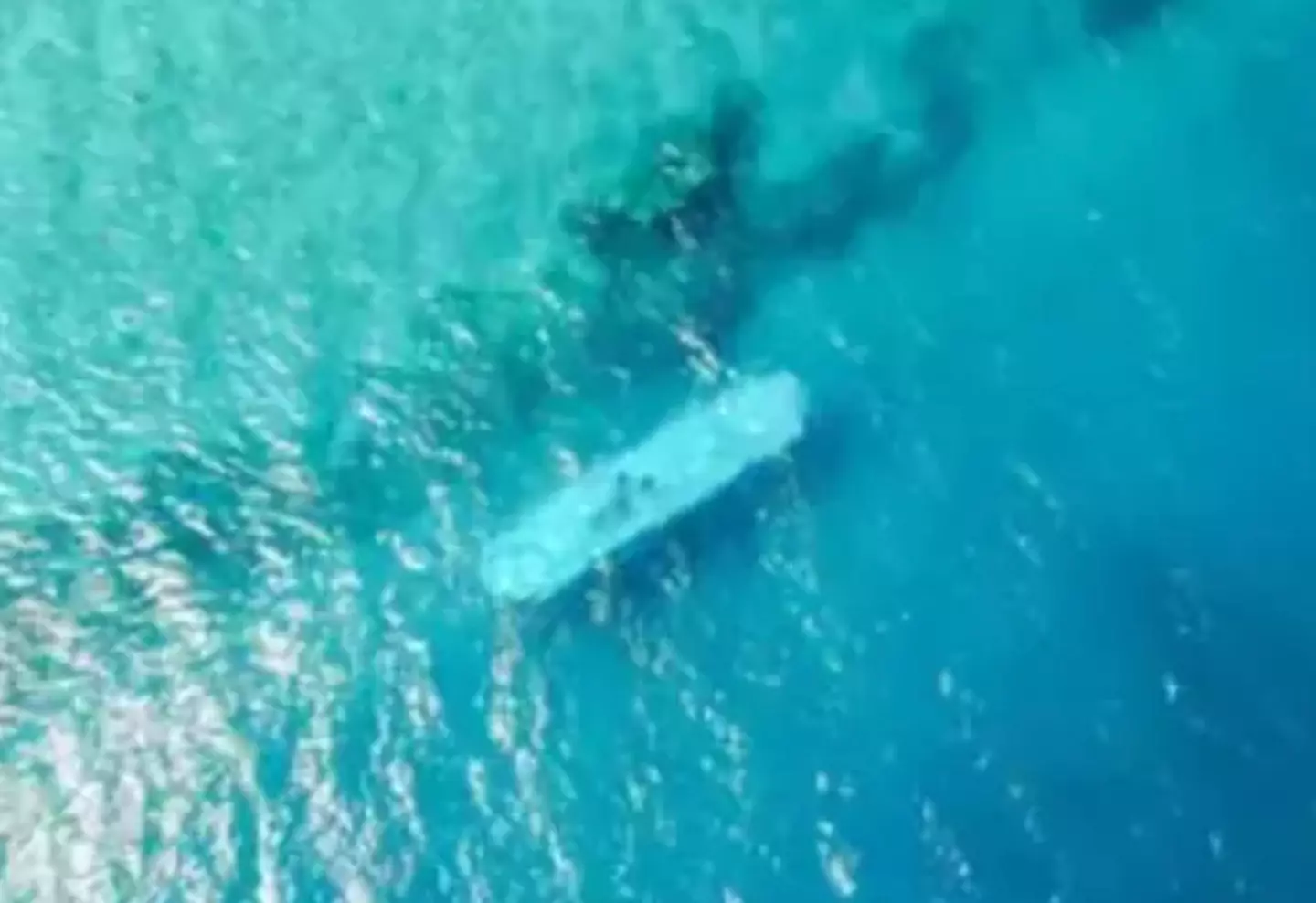 The sub has capacity for 44 passengers (Sindbad Submarines)